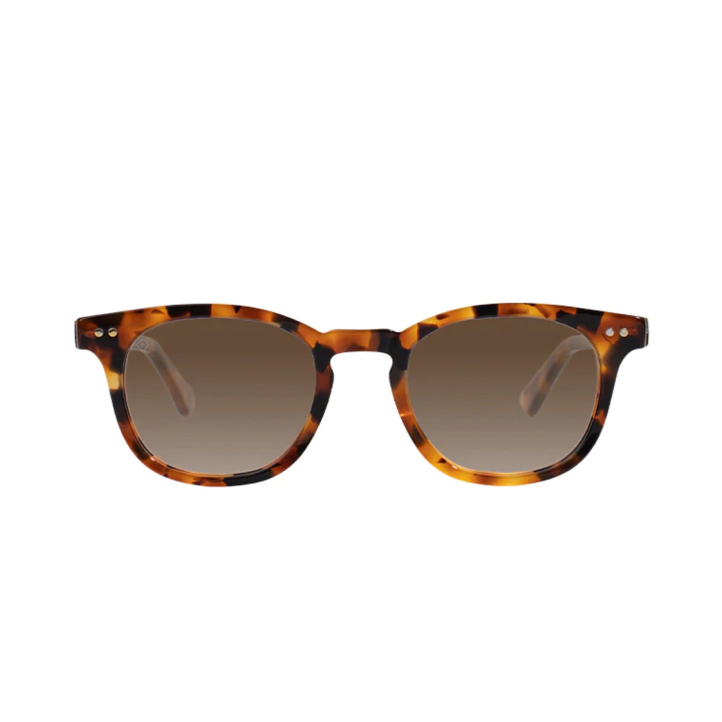 Chester Polarized Sunglasses - Topdrawer