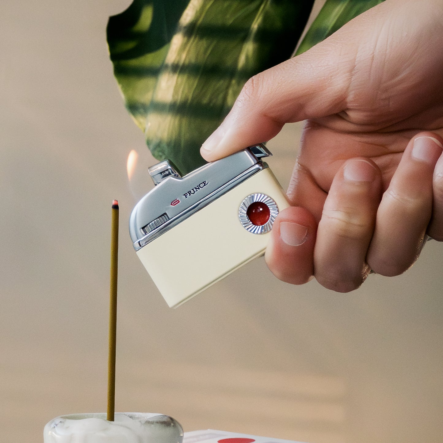 Dolphin Lighter - Topdrawer