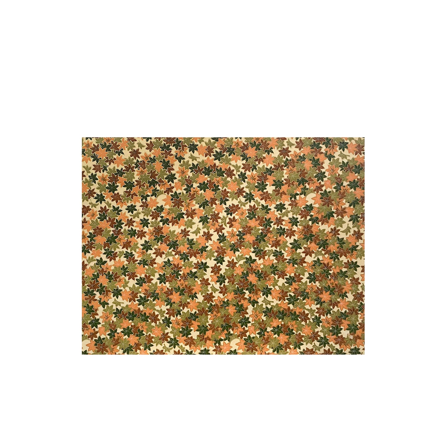Newport 8.5x11 Washi Scrapbook - Topdrawer