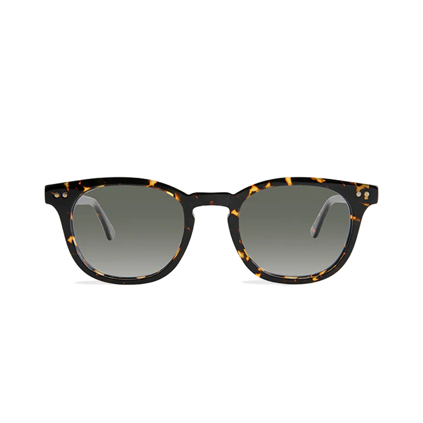 Chester Sunglasses - Topdrawer