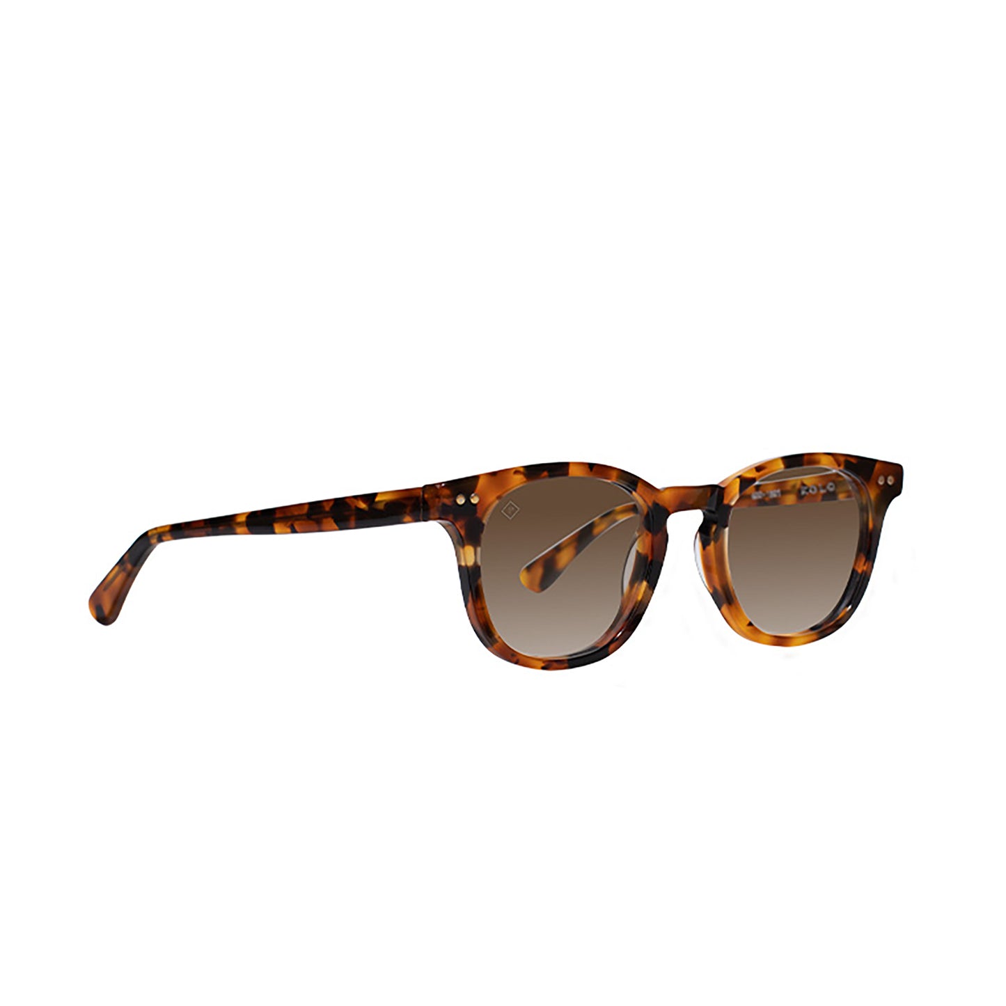Chester Polarized Sunglasses - Topdrawer